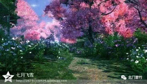 召唤神龙万宁版祖龙