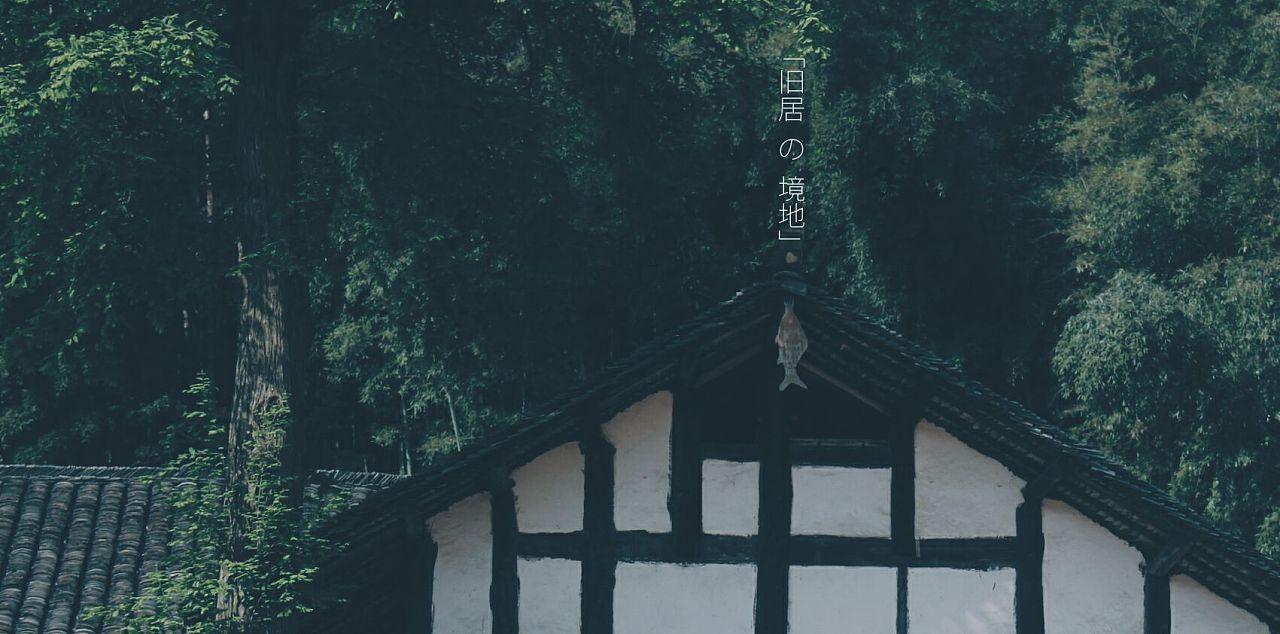 老人乘坐扶梯时不慎摔倒,拼尽全力用身体死死撑住老人的小姐姐,获见义勇为奖励