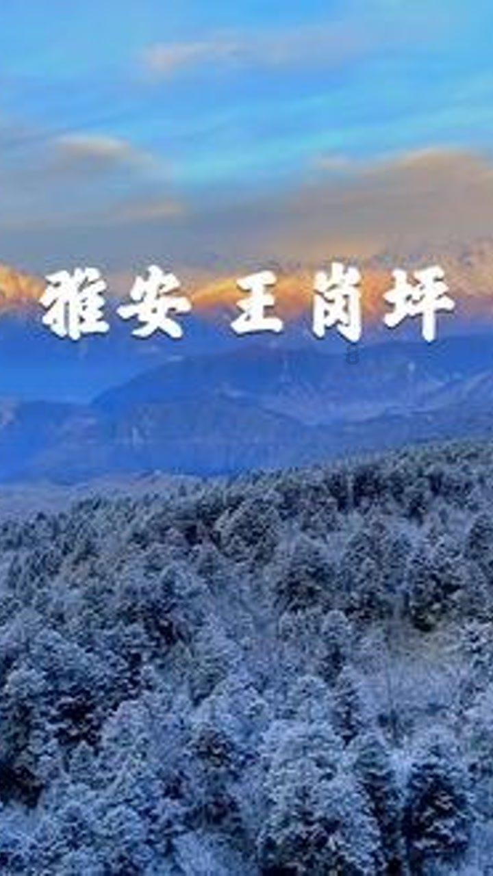 模拟人生3