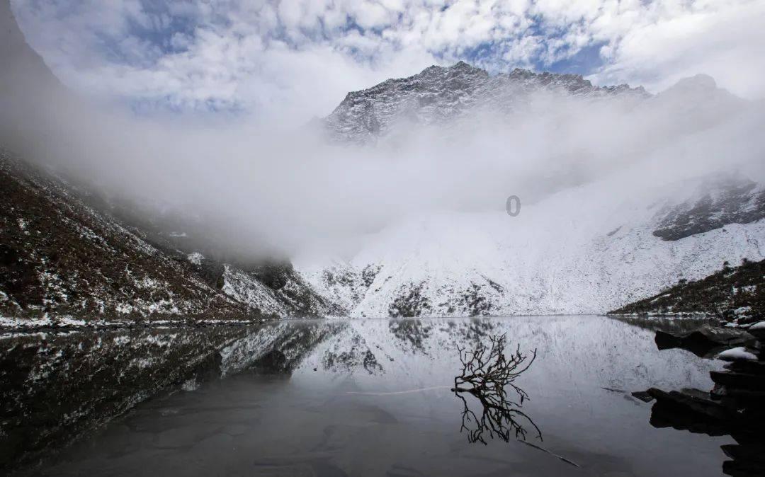 逃离绿色山谷
