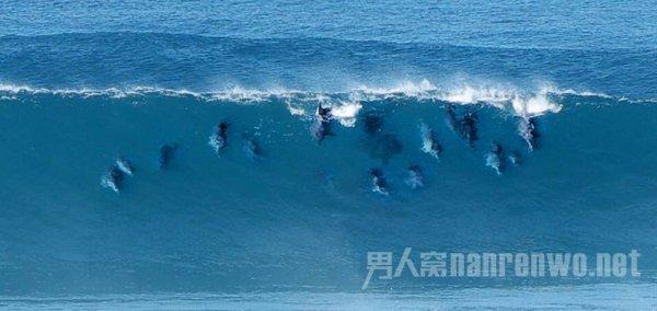43岁柳岩疑新恋情曝光，主动跟男子同回住处，两人或已经同居