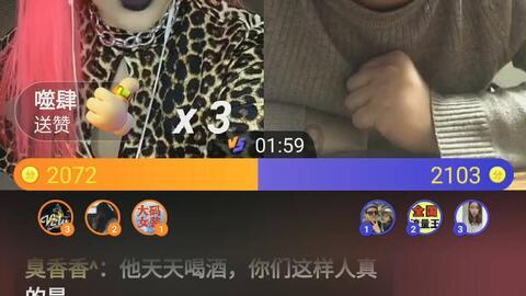 飞天小猪仔