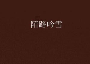 迷失在黑洞里