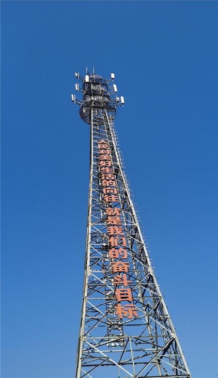 动物帮帮忙保卫家园