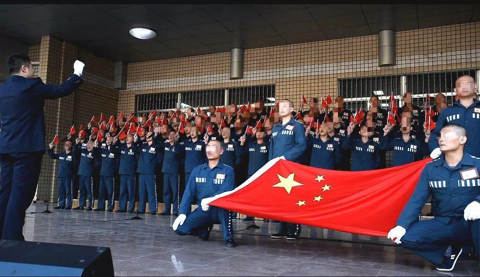 虫虫助手下载