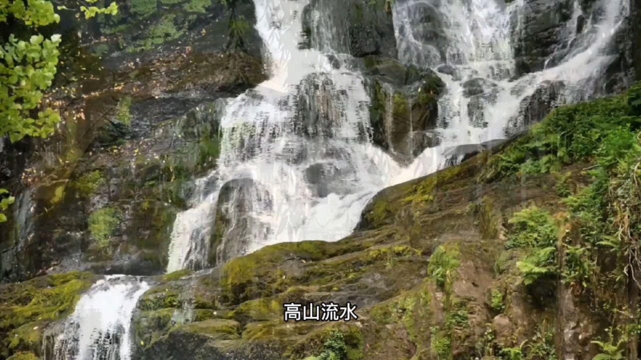 泰拉瑞亚