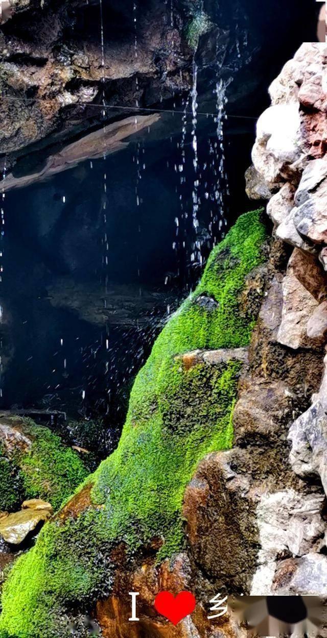 幻想纹章2.0