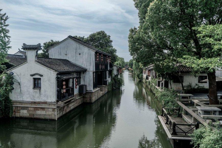 动物帮帮忙保卫家园