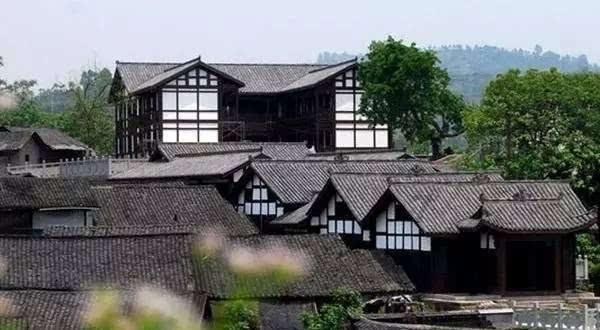 动物帮帮忙保卫家园