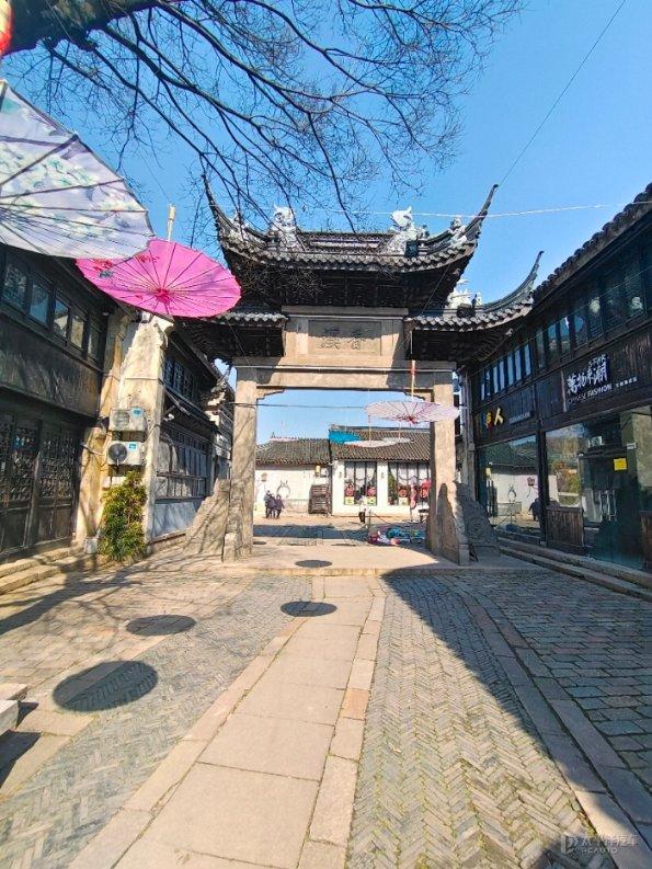 三亚现多起剧毒僧帽水母伤人事件，游客中心：无游客中毒