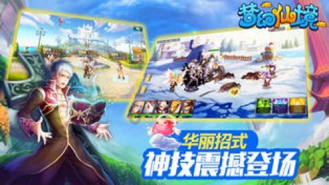 斗彩瓷器：贵重之谜与真伪鉴定